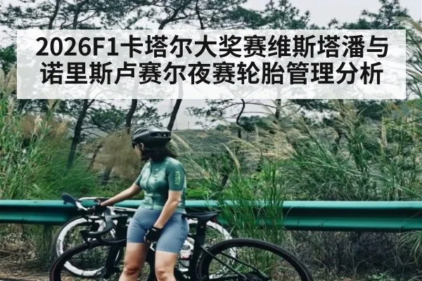 2026F1卡塔尔大奖赛维斯塔潘与诺里斯卢赛尔夜赛轮胎管理分析