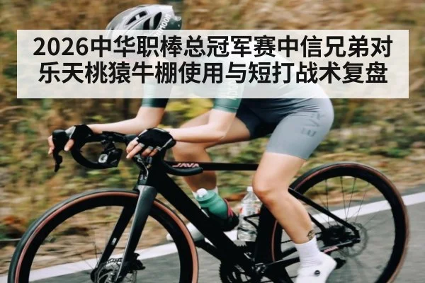 2026中华职棒总冠军赛中信兄弟对乐天桃猿牛棚使用与短打战术复盘 - kaiyun